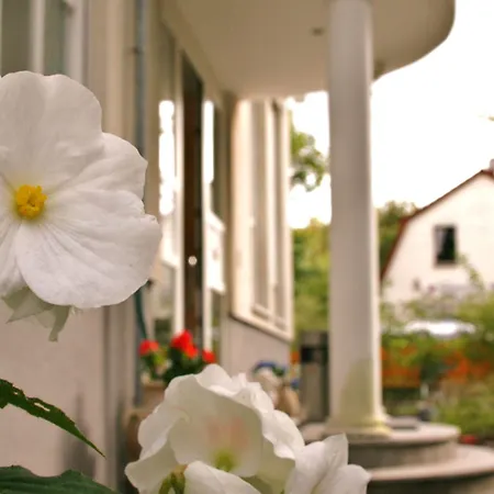 Und Appartementhaus Rheden 아파트호텔