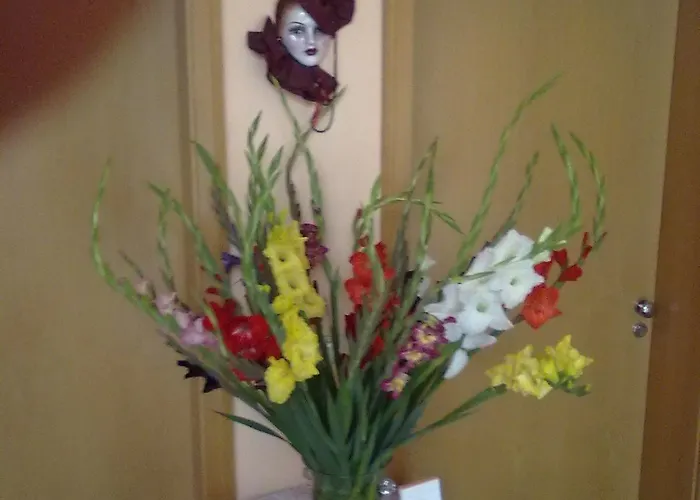 Und Appartementhaus Rheden شقة فندقية غلينكه