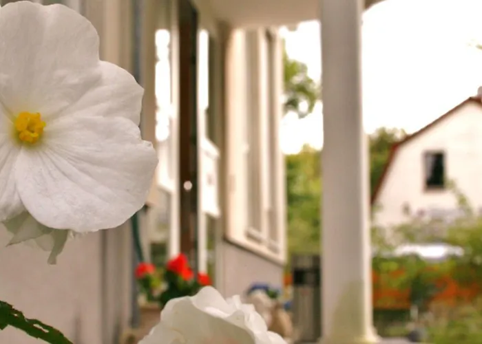 Und Appartementhaus Rheden شقة فندقية